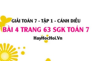 Giải bài 4 trang 63 Toán 7 Tập 1 SGK Cánh Diều